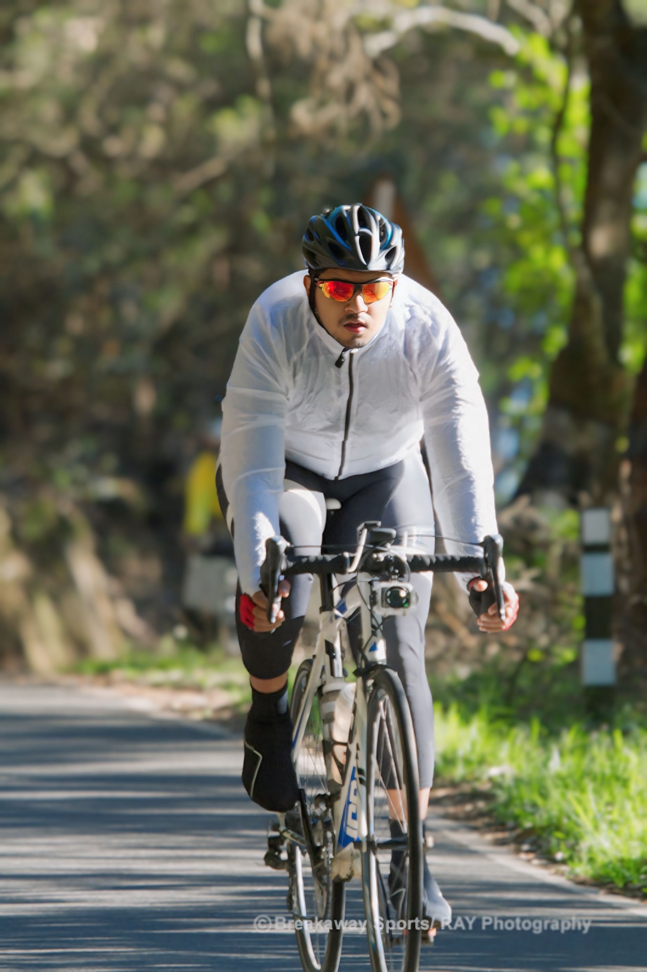 Cyclist climbing a tree-lined Nilgiris road in the early morning